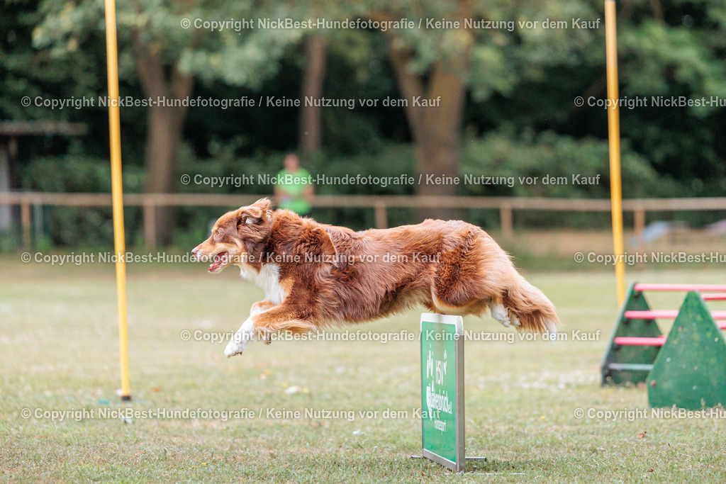THS-Quakenbrück-2026-Nickbest-Hundefotografie-4871 | Dein Hund! Dein Moment! Deine Erinnerungen! Hundefotografie in Bremen Blumenthal. Ich fange die besonderen Momente deines Vierbeiners ein – ob Indoor mit Blitzanlage oder in der freien Natur. Sicher dir dein Moment und dein Termin für eure Erinnerungen.