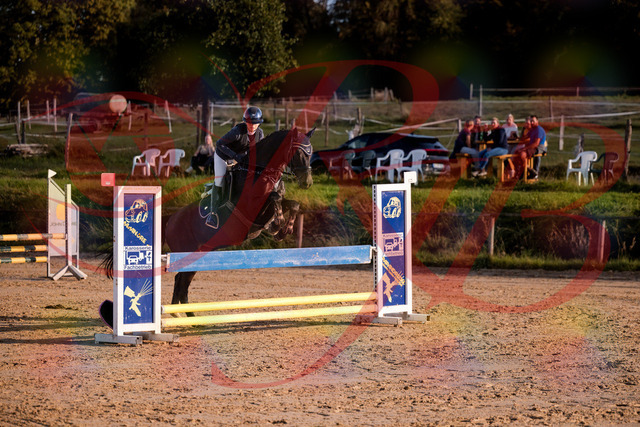 2026_10_03_Siefer-Hof_171603_Z81_13999024 | Professionelle Reitsport-, Turnier- und Eventfotografie von Robert Broda. Galerien mit ausgewählten und bearbeiteten Bildern direkt online ansehen und bestellen.