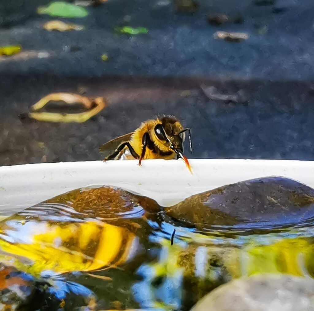 PSX_20221005_224500 | mtkfoto_ - Realisiert mit Pictrs.com