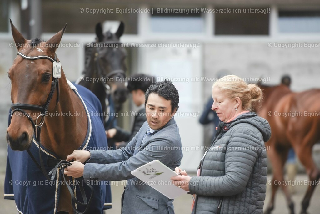 20230514_Impressionen_0165 | equistock