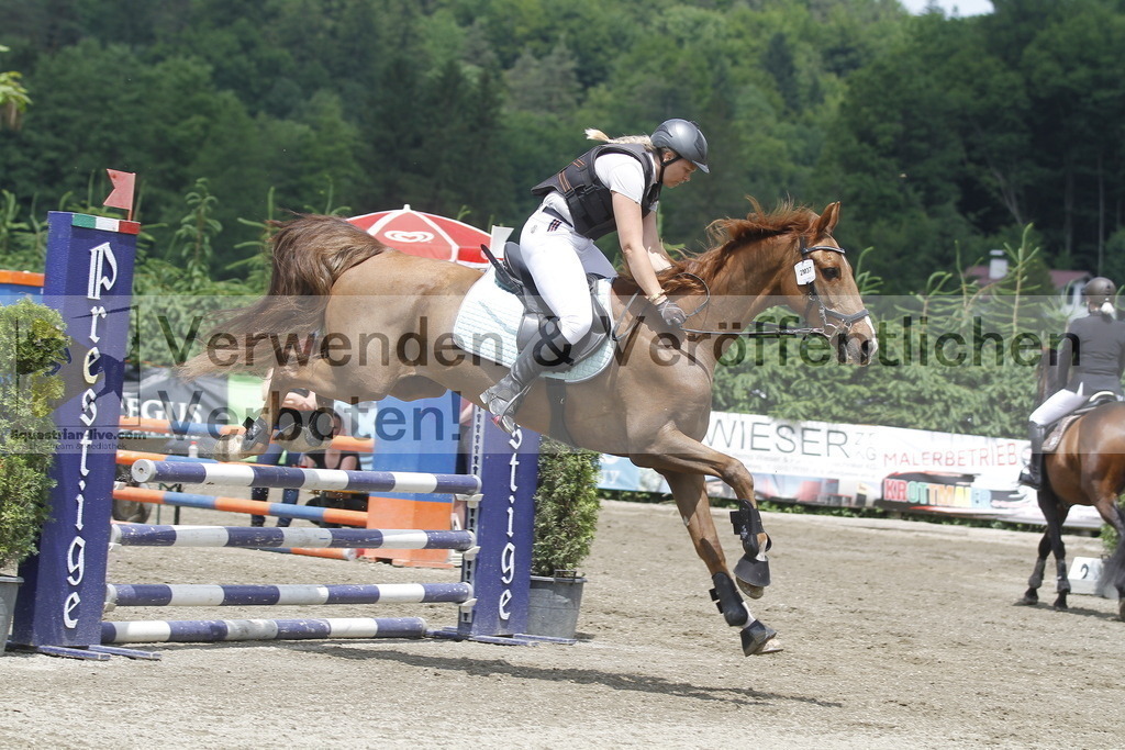 _MG_5166 | equestrian-live-com