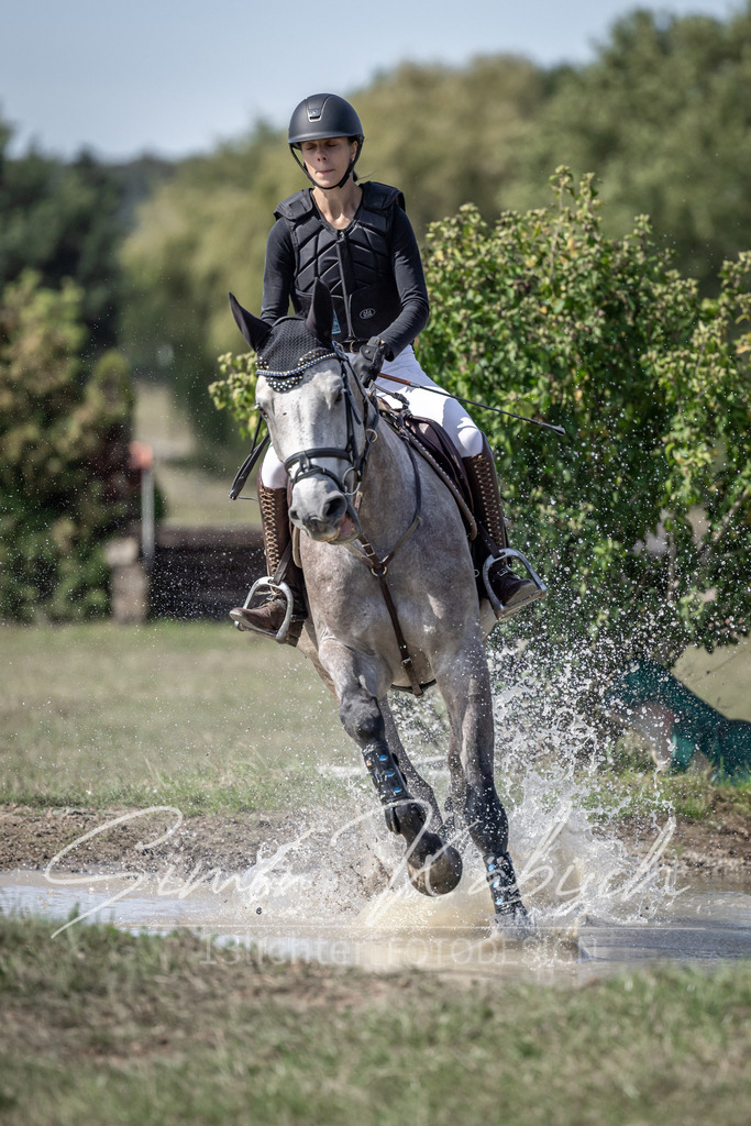 20250907-_3LI0013 | Tierfotografie Pferde, Hunde, Katzen, Haustiere.
Turnierfotografie Reitturniere, Reiten, Springreiten, Dressur in Hanau, dem Main-Kinzig-Kreis und dem Rhein-Main- Gebiet um Frankfurt