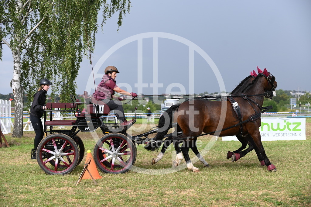 DSC_8762 | sattelsport - Realisiert mit Pictrs.com