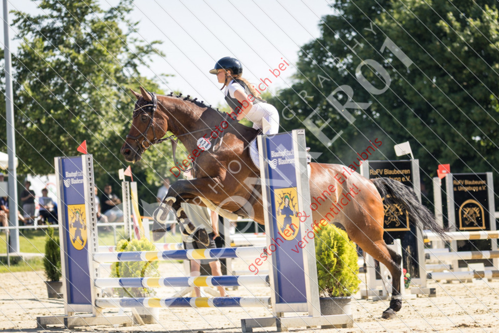 IMG_2938 | Sport-, Event- und Tierfotos in Profiqualität. Einfach auswählen, bestellen und herunterladen. Dein Moment – perfekt festgehalten.