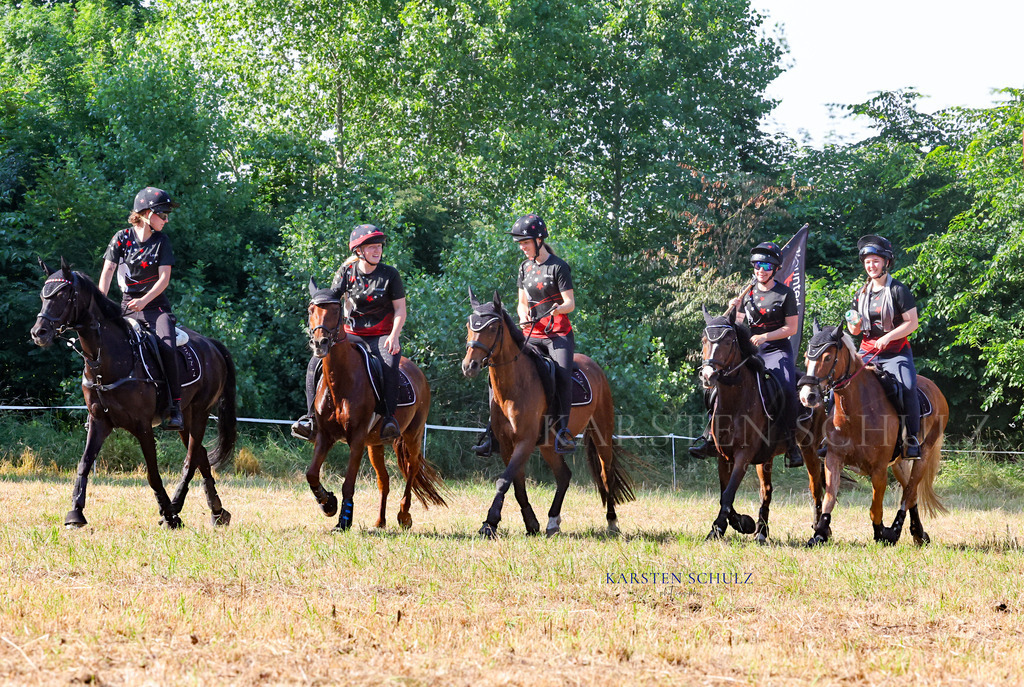1B3A8349 | Reitsport Reiten