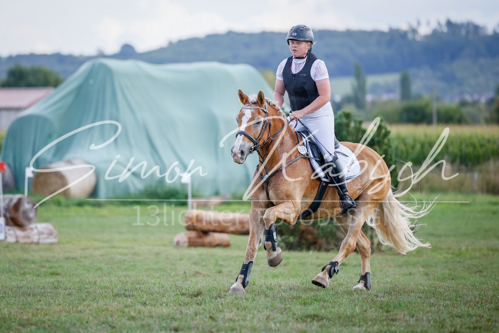 20250905-_3LI0486 | Tierfotografie Pferde, Hunde, Katzen, Haustiere.
Turnierfotografie Reitturniere, Reiten, Springreiten, Dressur in Hanau, dem Main-Kinzig-Kreis und dem Rhein-Main- Gebiet um Frankfurt