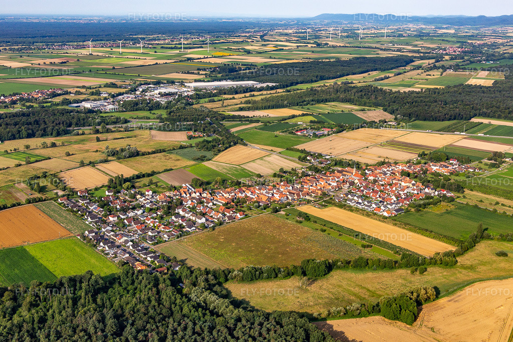 Luftbild: Ortsansicht von Nordosten in Erlenbach bei Kandel im Bundesland Rheinland-Pfalz in Deutschland. Foto: IMG_142891.jpg vom 19.07.2024 durch Werner Riehm/FLY-FOTO.de