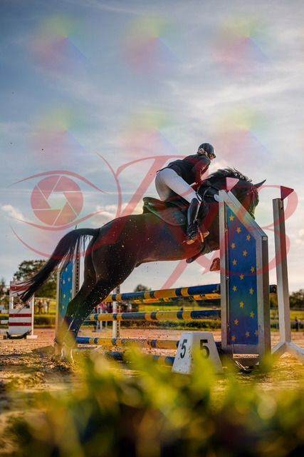 2026_10_03_Siefer-Hof_171836_Z63_22214476 | Professionelle Reitsport-, Turnier- und Eventfotografie von Robert Broda. Galerien mit ausgewählten und bearbeiteten Bildern direkt online ansehen und bestellen.