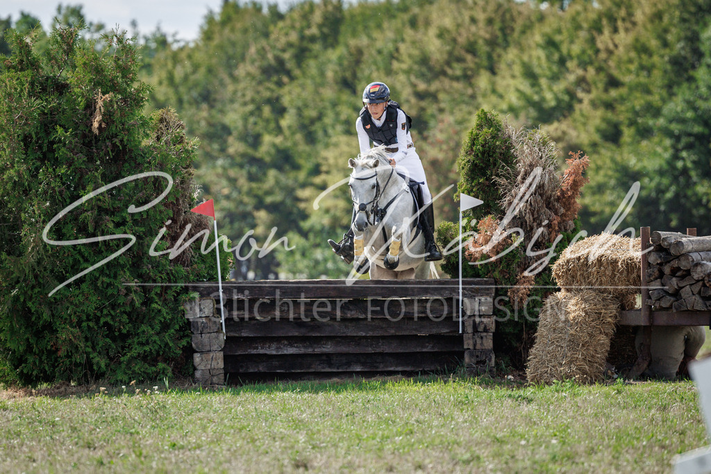 20260905-_3LI9852 | Tierfotografie Pferde, Hunde, Katzen, Haustiere.
Turnierfotografie Reitturniere, Reiten, Springreiten, Dressur in Hanau, dem Main-Kinzig-Kreis und dem Rhein-Main- Gebiet um Frankfurt
