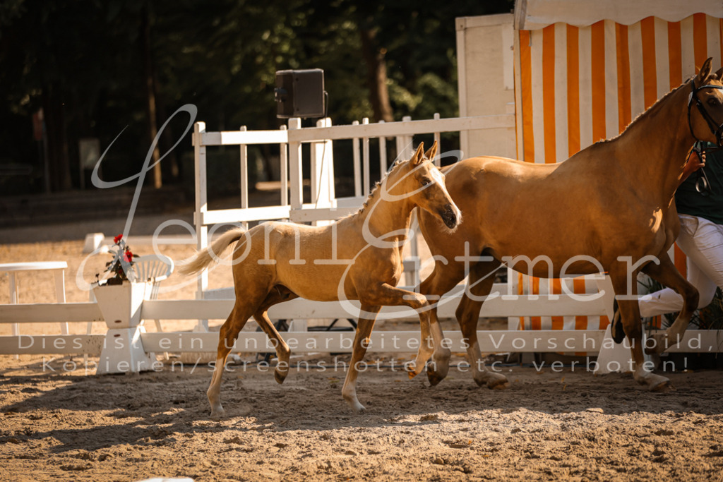 11.DoRP00099 | Leoni Ertmer Photography - Realisiert mit Pictrs.com