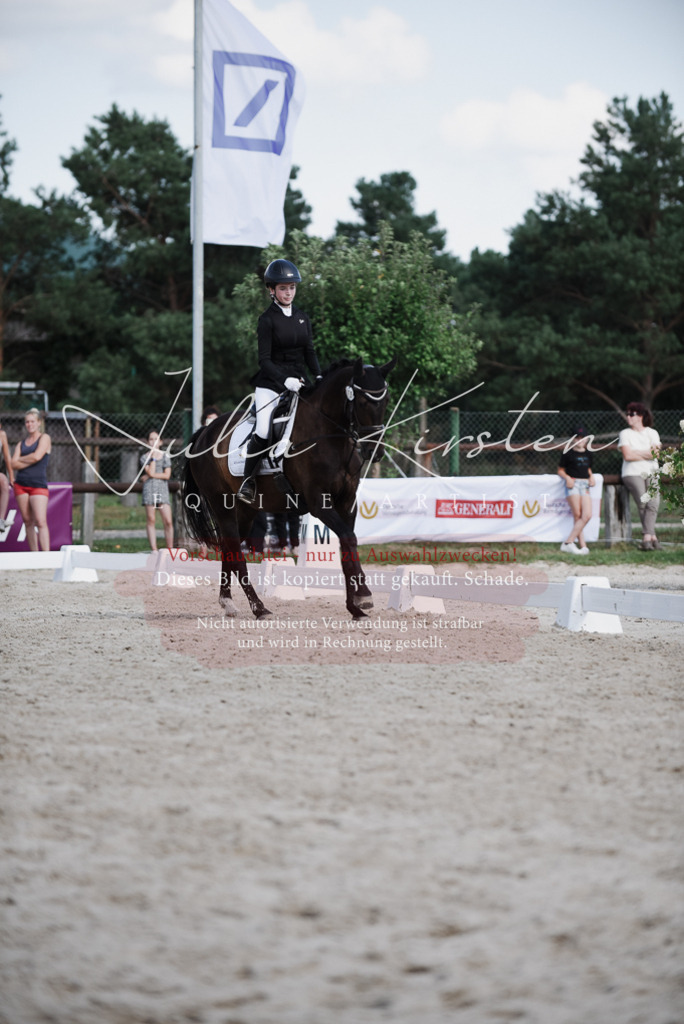 DSC_9972 | Pferde- und Turnierfotografie in Westsachsen. Pferdeportraits, Auftragszeichnungen und intuitive Kunst.