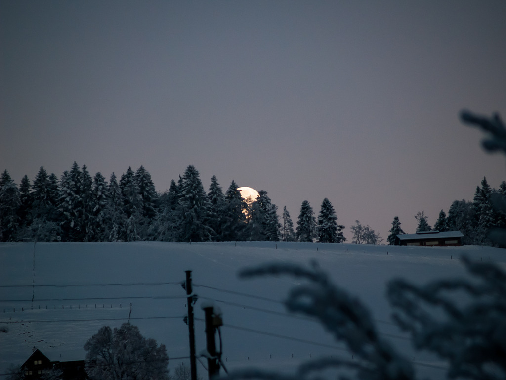 PSX_20230207_232639 | OLYMPUS DIGITAL CAMERA - Realisiert mit Pictrs.com