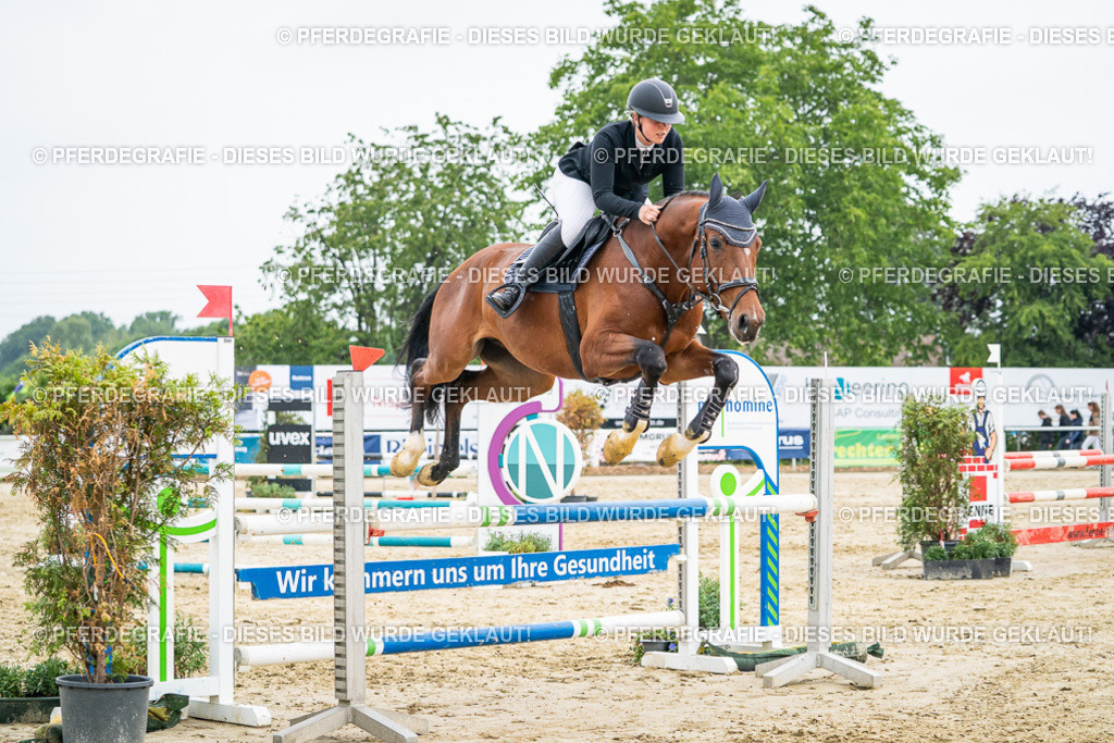 DSC00489 | Pferdegrafie