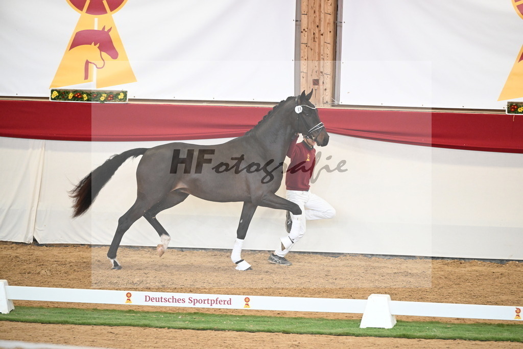 Kat.-Nr. 66 v. Fürstenball_Höchsmann_2250469 | hf-fotografie - Realisiert mit Pictrs.com