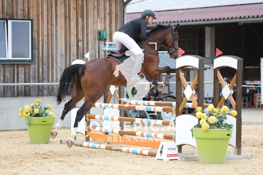 0P6A2849 | Willkommen bei Brunnmayr - Design & Fotografie – Ihrem Spezialisten für Reitturniere und Pferdeveranstaltungen in Oberösterreich, Salzburg und Bayern! Seit über 17 Jahren sind wir leidenschaftlich dabei.