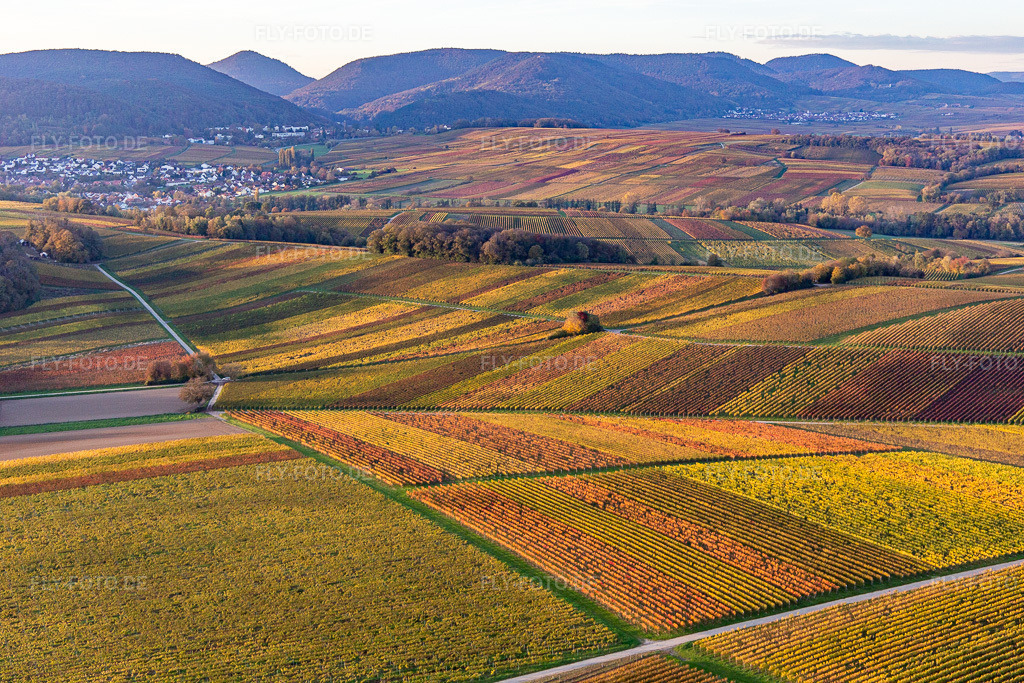 Luftbild: Weinberge der südlichen Wienstraße im Herbstlaub im Ortsteil Klingen in Heuchelheim-Klingen im Bundesland Rheinland-Pfalz in Deutschland. Foto: IMG_143709.jpg vom 25.10.2024 durch Werner Riehm/FLY-FOTO.de
