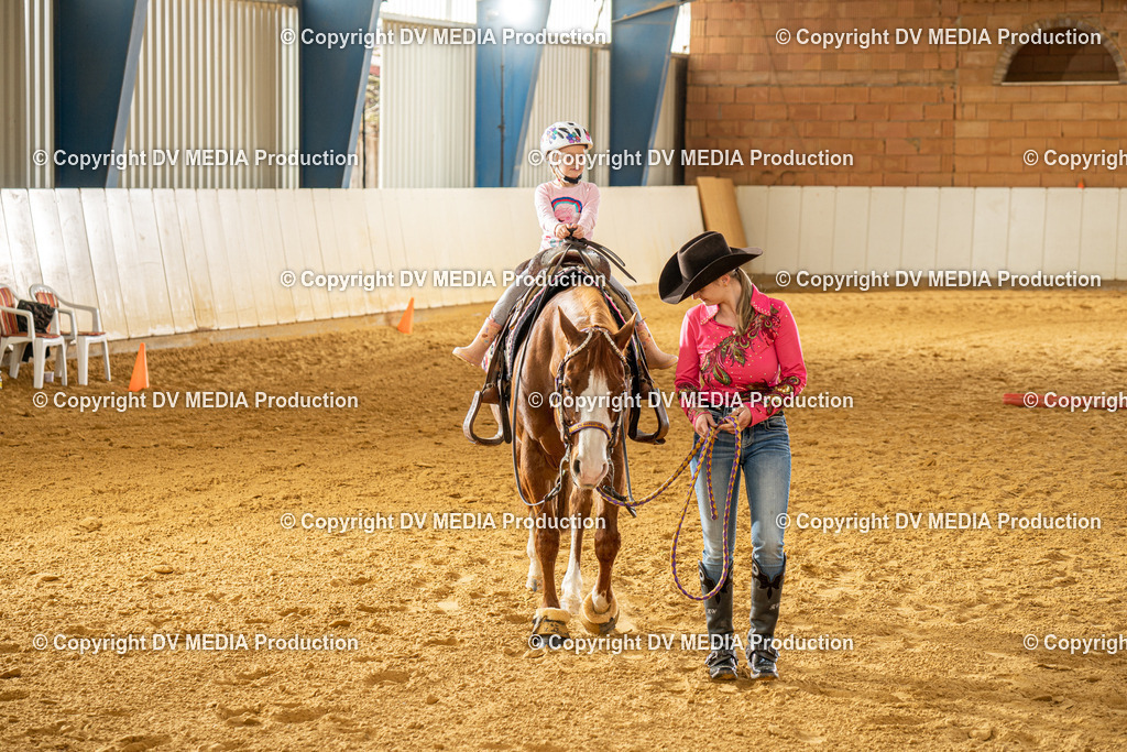 MIT01186 | dv-media-shop - Realisiert mit Pictrs.com