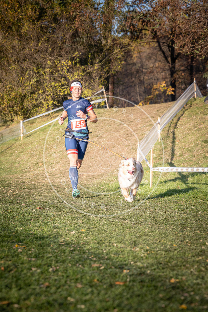 CaniXpix_0L8A0026 | Hundefotografie, Tierfotograf, Pfotenfotografie, Fotoshooting Hund, Hunde Portrait, Hundesport, Hundeportraits, Heideshooting, Hunde, Sportfotograf, Hundefotograf, Turnierhundsport, THS,  - Realisiert mit Pictrs.com