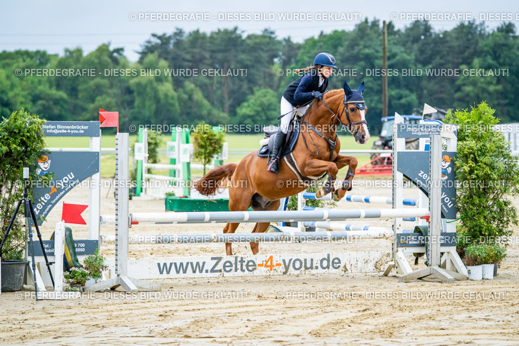 DSC01204 | Pferdegrafie