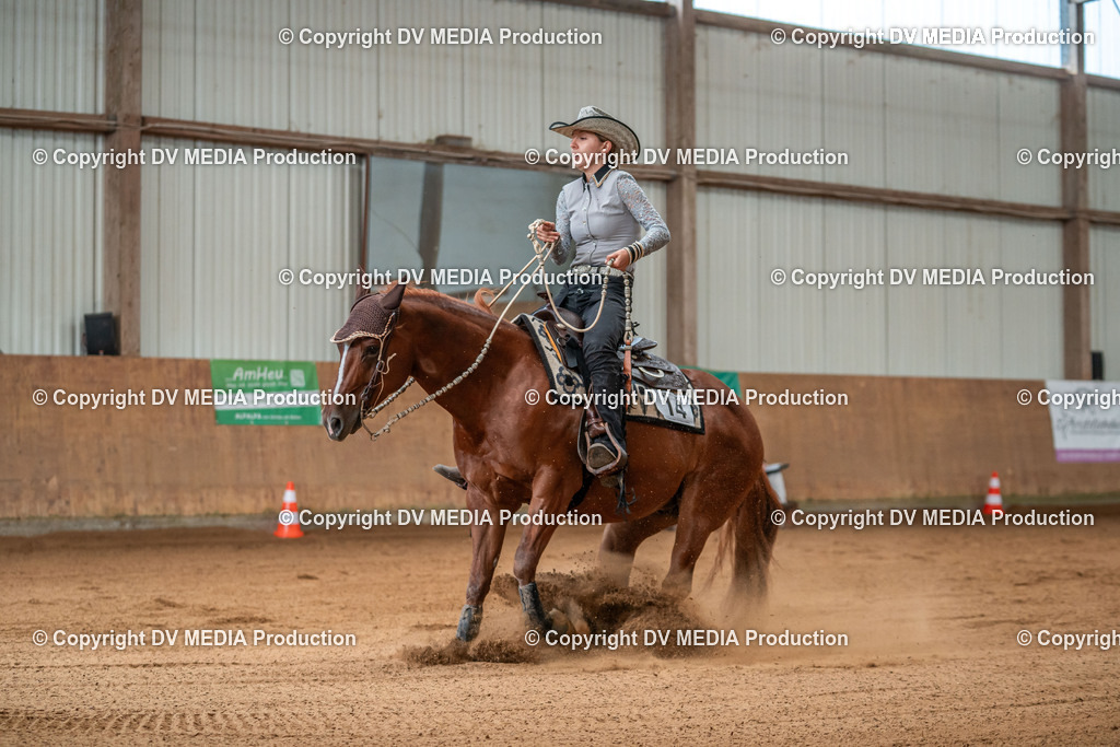 Neckargemünd Tag 3-890 | dv-media-shop - Realisiert mit Pictrs.com
