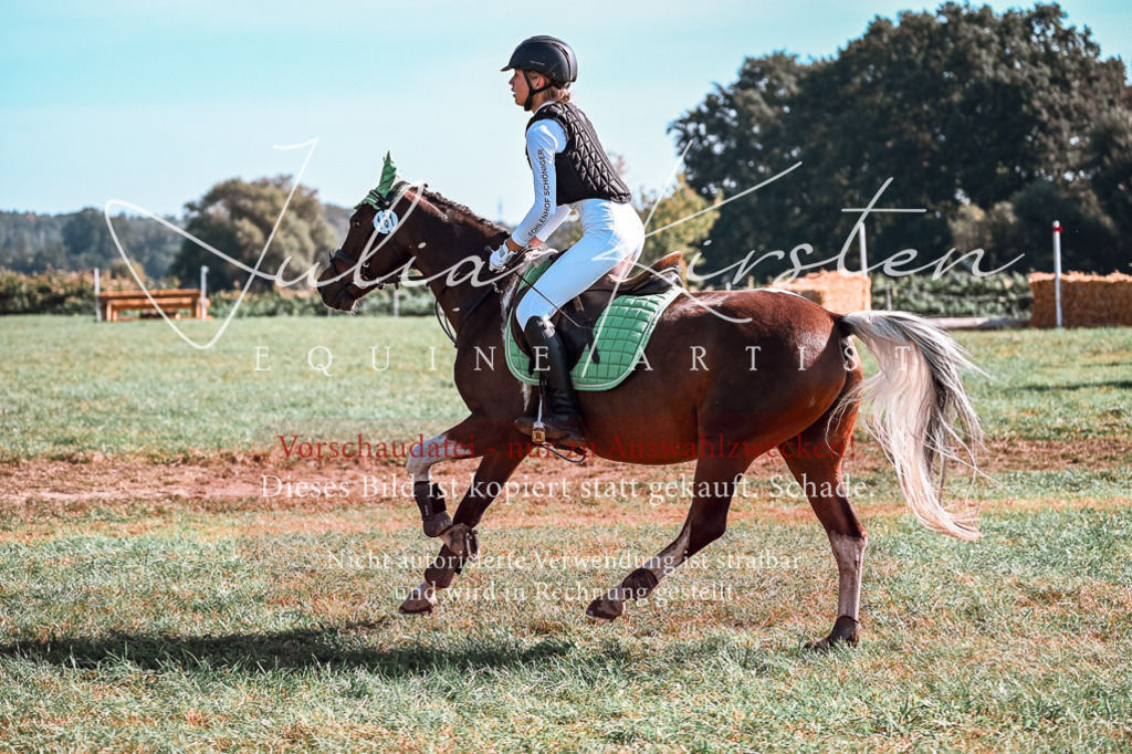 DSC_0842 | Pferde- und Turnierfotografie in Westsachsen. Pferdeportraits, Auftragszeichnungen und intuitive Kunst.