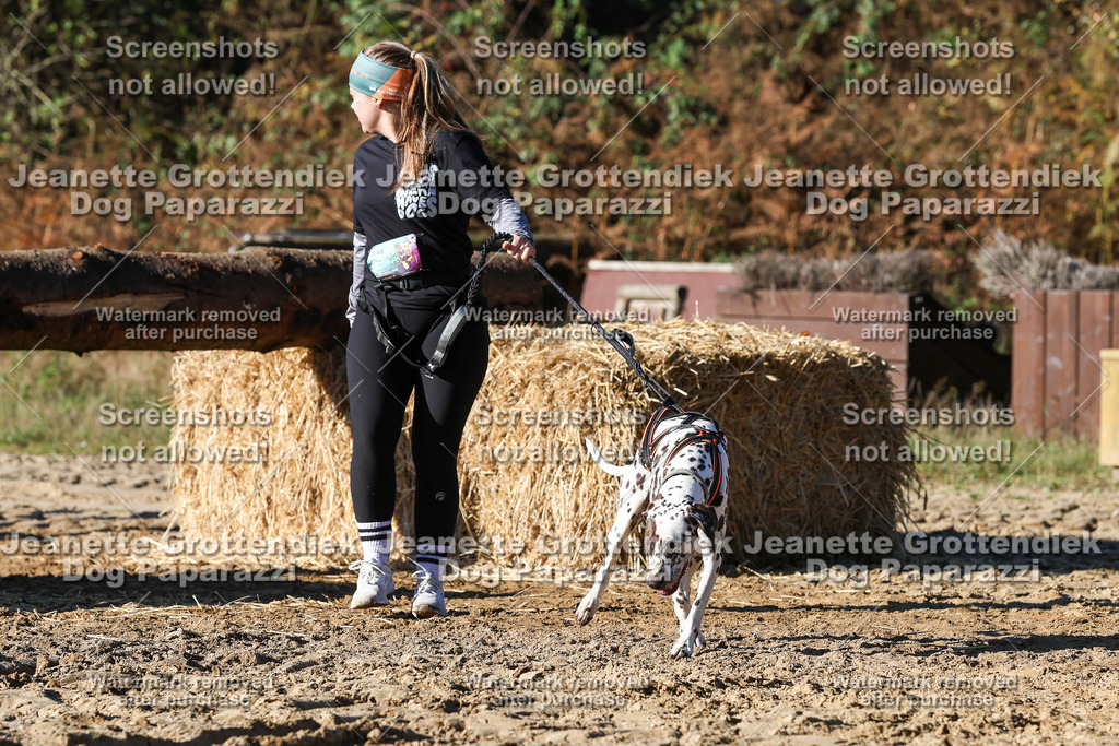 Dog Paparazzi - Strongdog 10-25-2134 | Dog Paparazzi Jeanette Grottendiek Fotografie & Videografie - Realisiert mit Pictrs.com