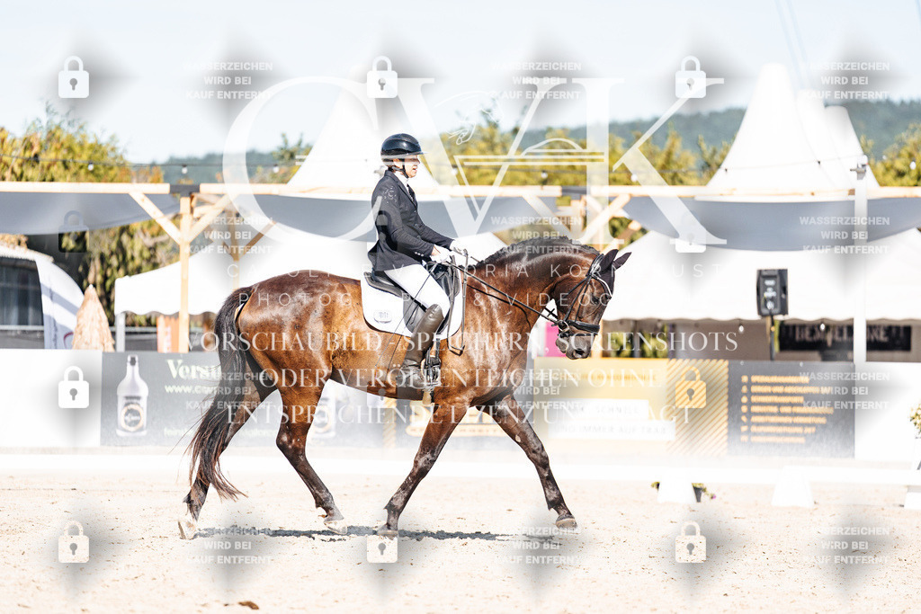 CK908519 | Turnierfotografie Pferdefotografie Trier Rheinland-Pfalz Pferdesport Reitsport Tierfotografie Sportfotografie Pferdevideo Pferdevideografie Equestrianvideography equestrianphotography  - Realisiert mit Pictrs.com