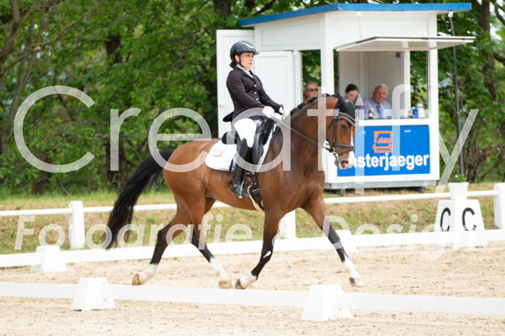 IMG_1032 | Creatify Fotografie