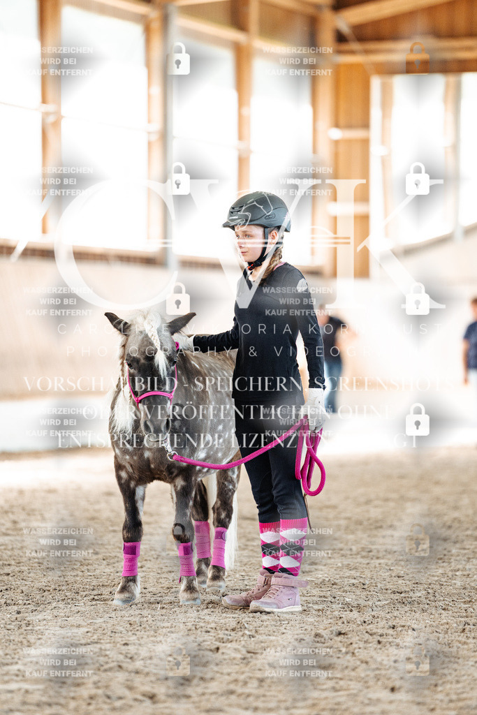 CK907080 | Turnierfotografie Pferdefotografie Trier Rheinland-Pfalz Pferdesport Reitsport Tierfotografie Sportfotografie Pferdevideo Pferdevideografie Equestrianvideography equestrianphotography  - Realisiert mit Pictrs.com