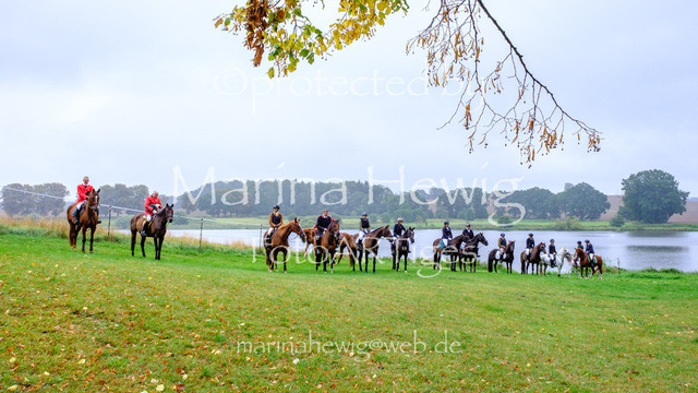 Jagd Kletkamp 26-9489_MarinaHewig | Fotografie, FotoArt, PferdesportArt, Pferdesportfotografie, Landschaftsfotografie, Reisefotografie, Reise, Pferde - Realisiert mit Pictrs.com