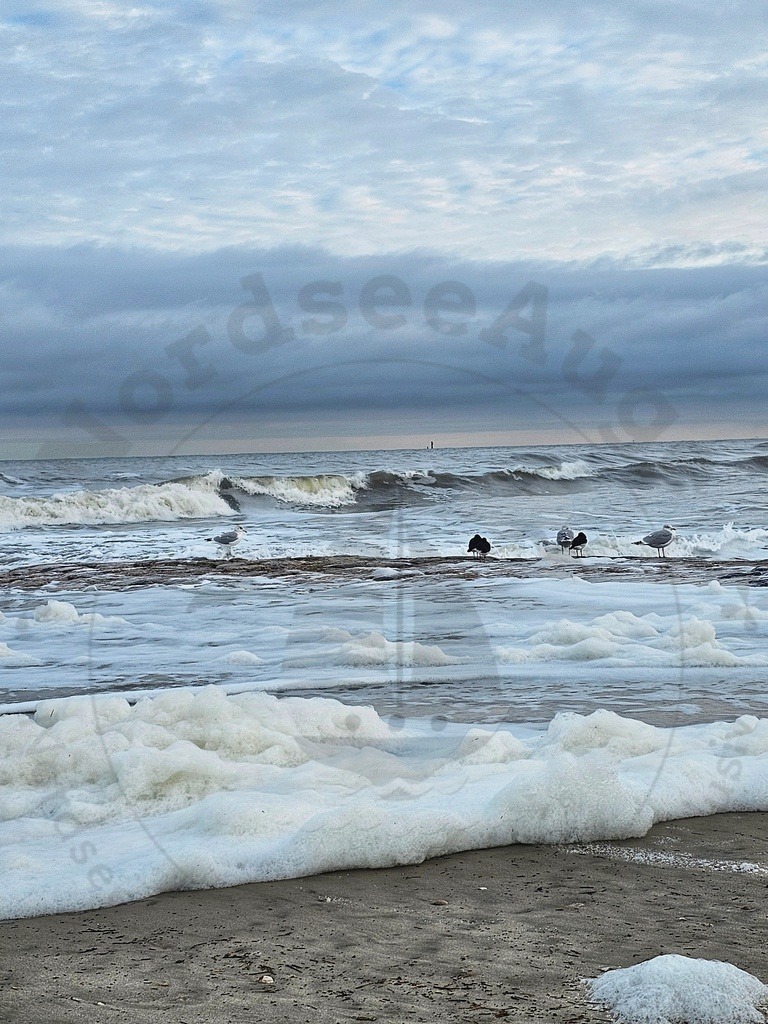 Nordsee Momente pur Nordseeküste Naturaufnahmen  | Nordsee in all ihrer Natürlichkeit  - Realisiert mit Pictrs.com