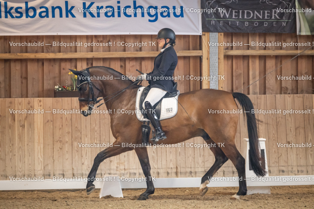 _D5A2309 | Emotionale Pferde- & People-Fotografie rund um Heidelberg, Leimen & Umgebung. Natürliche Fotos von Pferd, Mensch & Familie. Jetzt Termin sichern!