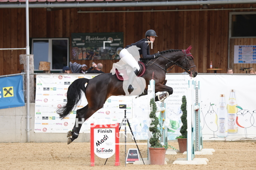 0P6A6645 | Willkommen bei Brunnmayr - Design & Fotografie – Ihrem Spezialisten für Reitturniere und Pferdeveranstaltungen in Oberösterreich, Salzburg und Bayern! Seit über 17 Jahren sind wir leidenschaftlich dabei.
