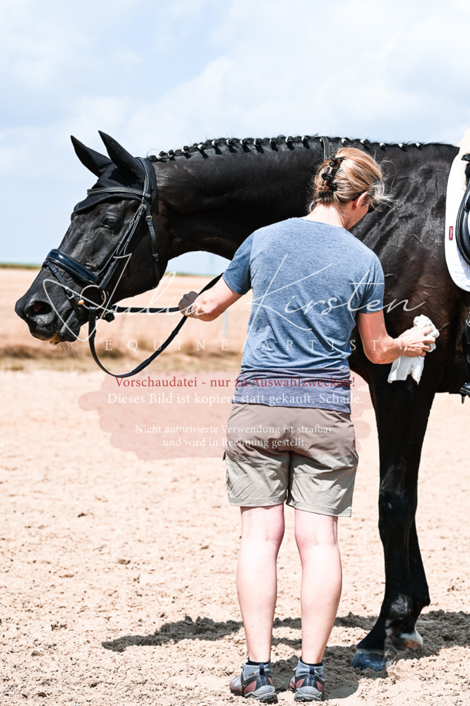 DSC_2736 | Pferde- und Turnierfotografie in Westsachsen. Pferdeportraits, Auftragszeichnungen und intuitive Kunst.