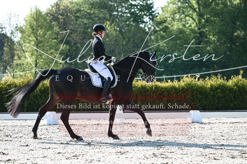 20230514_JK-Röhrsdorf-18-079 | Pferde- und Turnierfotografie in Westsachsen. Pferdeportraits, Auftragszeichnungen und intuitive Kunst.