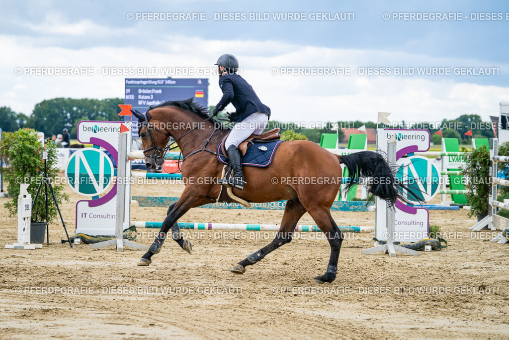 DSC06105 | Pferdegrafie