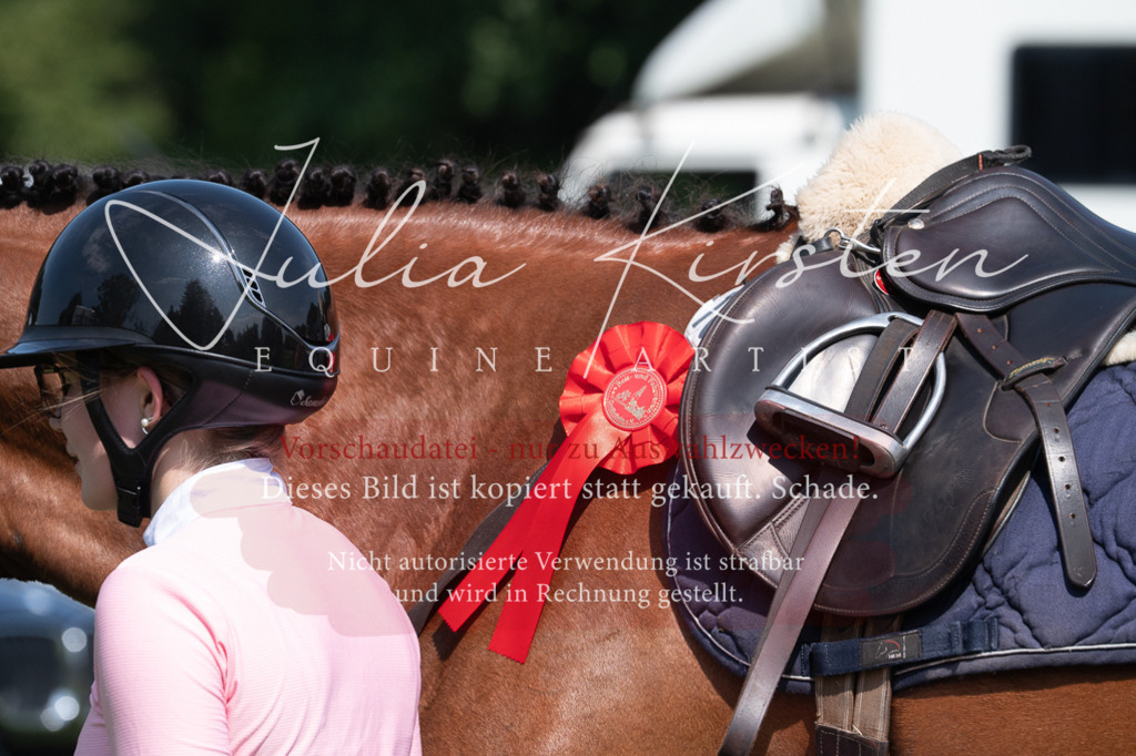 DSC_0747 | Pferde- und Turnierfotografie in Westsachsen. Pferdeportraits, Auftragszeichnungen und intuitive Kunst.