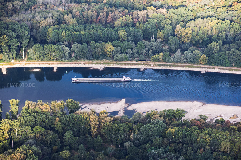 Luftbild: Leeres Frachtschiff bei Niedrigwasser am Rhein zwischen Hördter Rheinaue und Dettenheim im Ortsteil Liedolsheim in Dettenheim im Bundesland Baden-Württemberg in Deutschland. – Foto: IMG_158316.jpg vom 06.08.2026 durch Werner Riehm/FLY-FOTO.de – Auflösung des Originals: 6000 x 4000 px