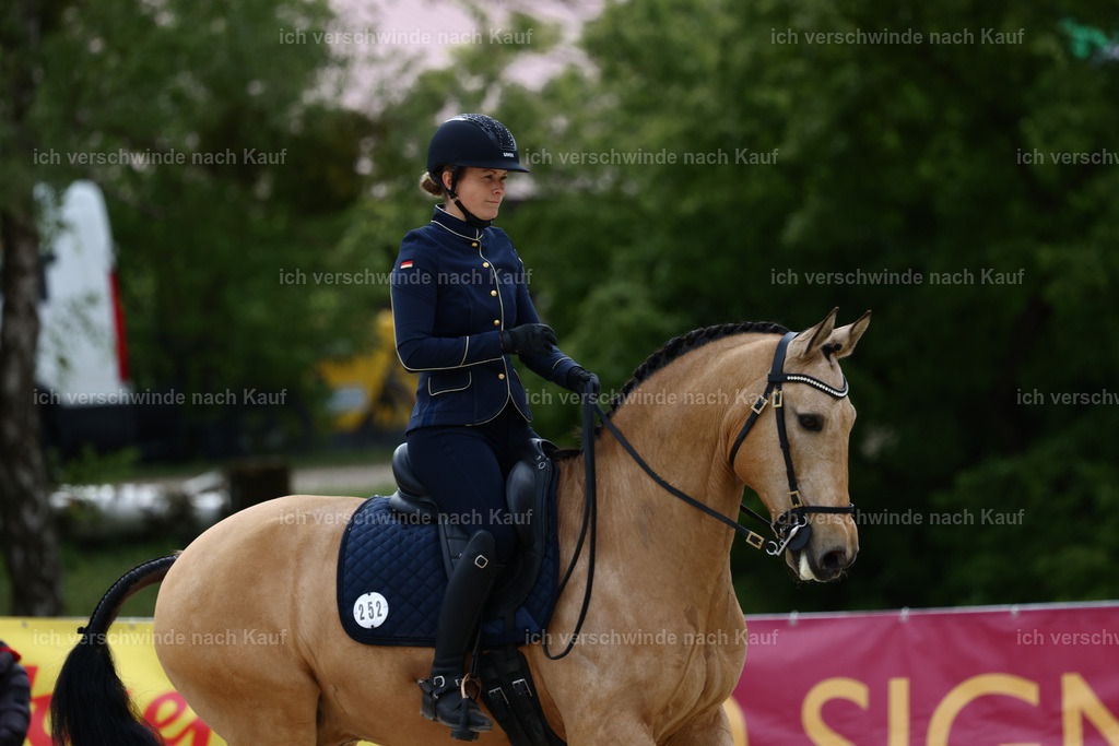 PI26_DR_252_StoibphotographyC2_L7263A.jpg | working equitationturnier fotograf videograf stoibphotography marixx film working equitation deutschland reitsport turnierfotografie eventfotografie equestrian events
