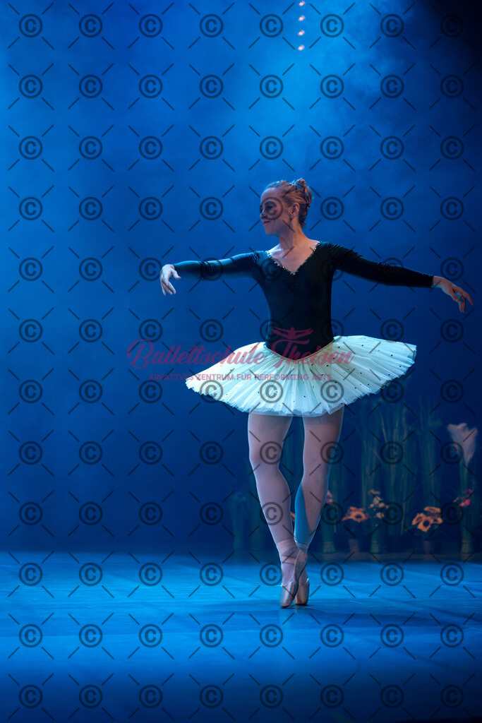 Ballettaufführung-1165 | Bildershop Lem'n Entertainment - Realisiert mit Pictrs.com