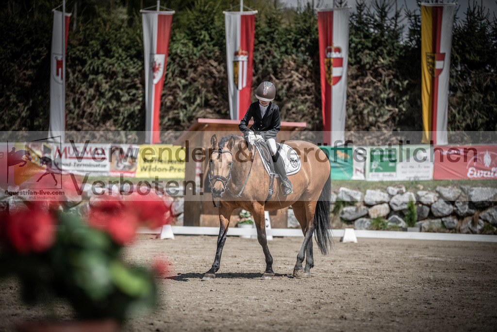 DSC_0937 | equestrian-live-com