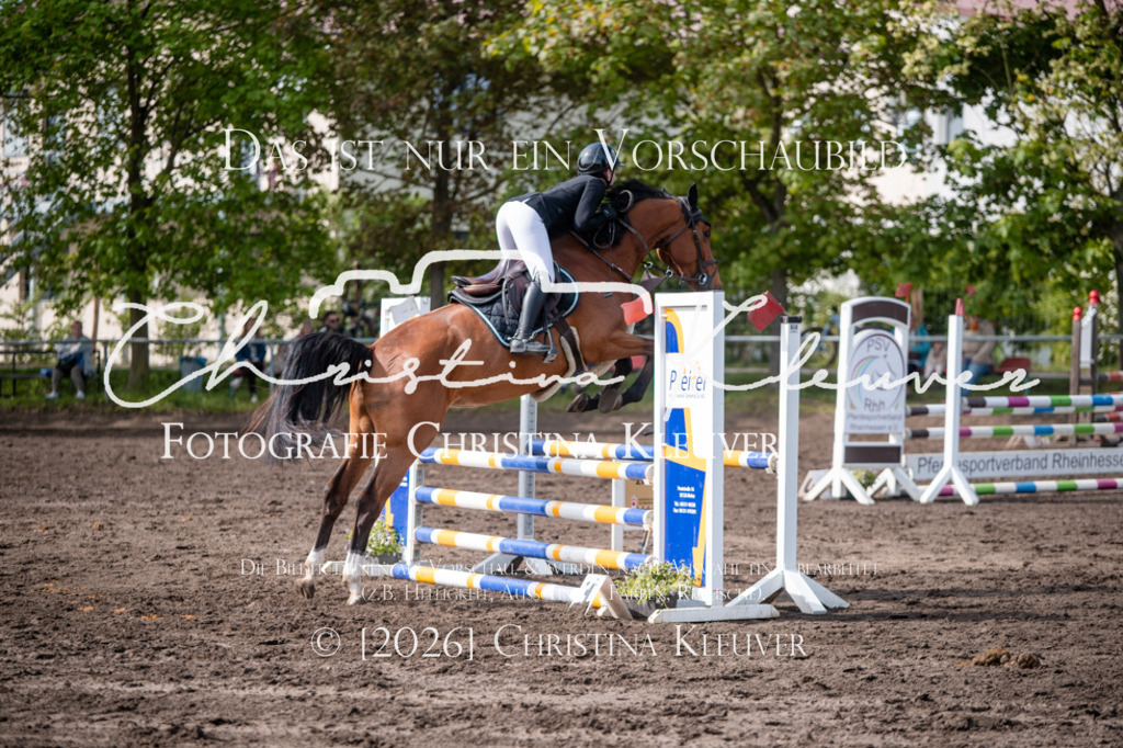 DSC_0337 | Christina-Kleuver