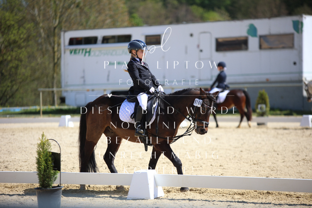 IMGT1331 | pl-fotografie