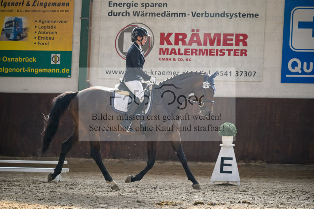 Reitturnier Voxtrup | Entdecke hochwertige Reitturnierfotos von Foto Oger. Professionell, emotional und authentisch – jetzt Lieblingsmomente im Shop bestellen.Deutschlandweite Turnierfotografie. - Realisiert mit Pictrs.com