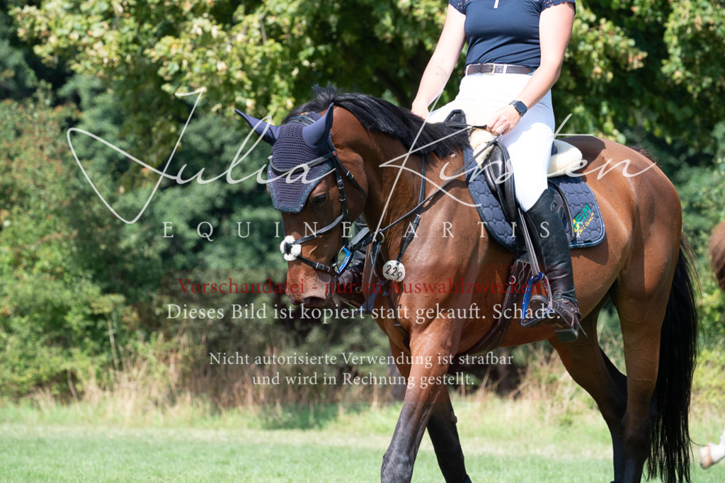DSC_0779 | Pferde- und Turnierfotografie in Westsachsen. Pferdeportraits, Auftragszeichnungen und intuitive Kunst.