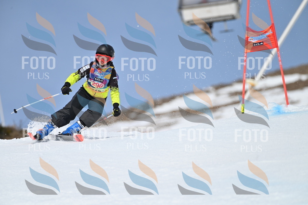 BGV_2706 | holidayphoto