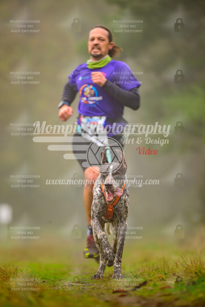 MompixPhotography_Bischwiller2025_Canicross-43 | mompixphotography