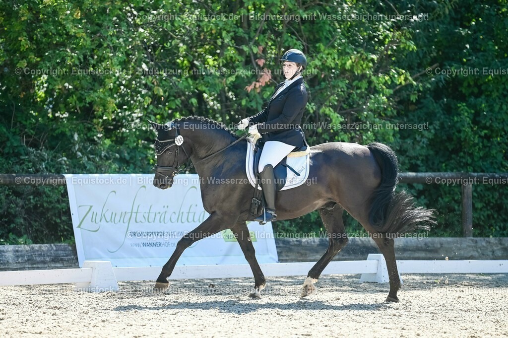 20230908_06_Dressur-L-Trense_0685 | equistock