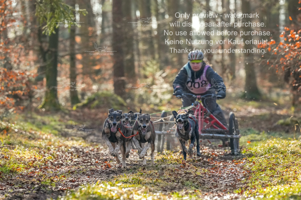 So_Gespanne-9 | stephaniefillaphotographie - Realisiert mit Pictrs.com