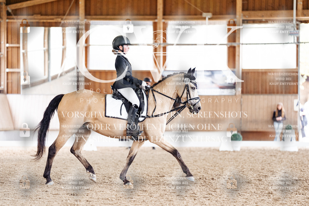 CK901572 | Turnierfotografie Pferdefotografie Trier Rheinland-Pfalz Pferdesport Reitsport Tierfotografie Sportfotografie Pferdevideo Pferdevideografie Equestrianvideography equestrianphotography  - Realisiert mit Pictrs.com